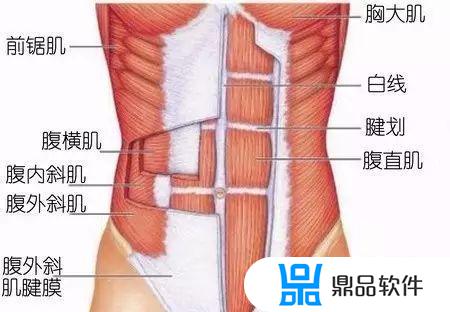 为什么抖音人都有马甲线(为什么抖音人都有马甲线呢)