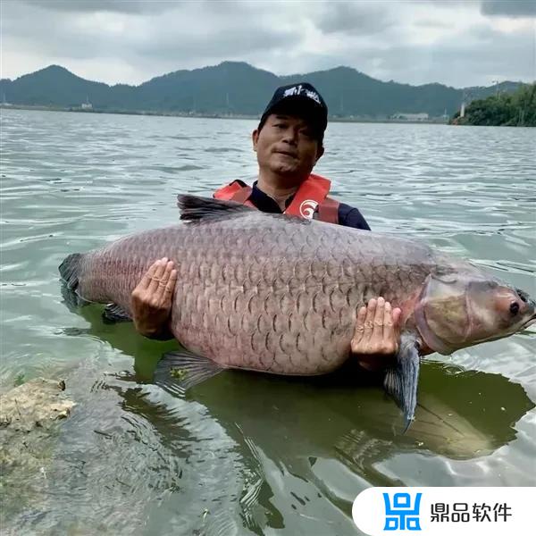 极钓江湖 抖音(极钓江湖抖音怎么赚钱)