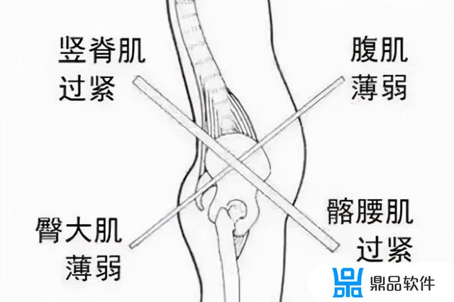 抖音最火小肚子(抖音网红大肚子)