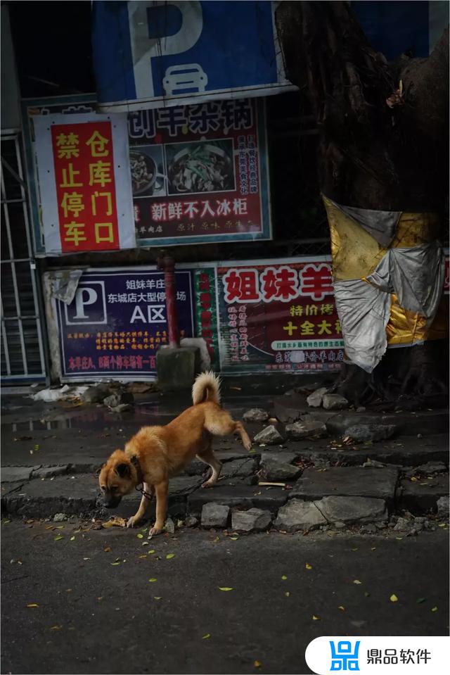 抖音极速闹钟怎么关闭(抖音闹钟怎么取消)