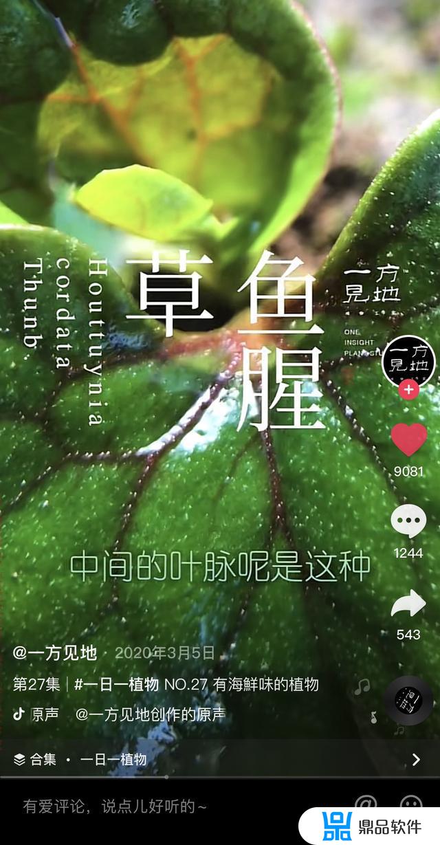 抖音营业执照在惠东怎么办理(抖音的营业执照在哪办)