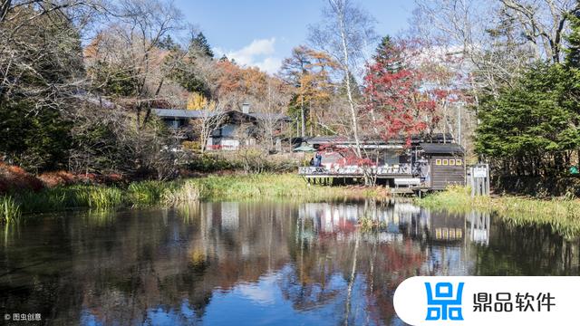 岚山栀子花开抖音用户