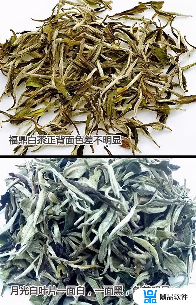 抖音新益号的茶怎么样(新益号的茶叶怎么样)