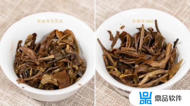 抖音新益号的茶怎么样(新益号的茶叶怎么样)