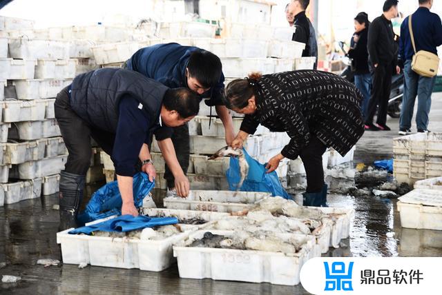 启东本地买海鲜抖音平台(抖音卖海鲜)