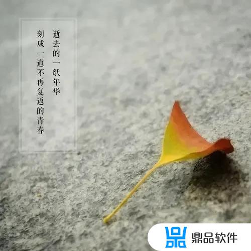 为什么起风了抖音短视频(起风了抖音)