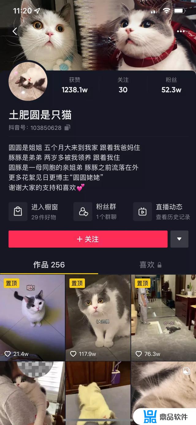 英短小球球抖音(抖音小气球)