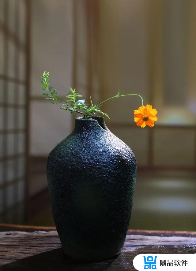 本地花店如何拍抖音日常(抖音怎么逛店铺)