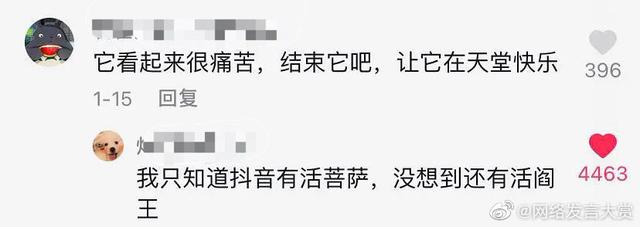 抖音如何评论骂小三不屏蔽(怎么骂小三不带脏字还够狠还不被抖音屏蔽)