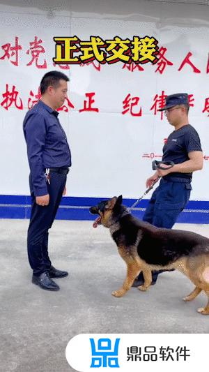 抖音如何拍警犬(抖音有网警吗)