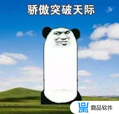 抖音璇崽小张仔(抖音网红仔仔)