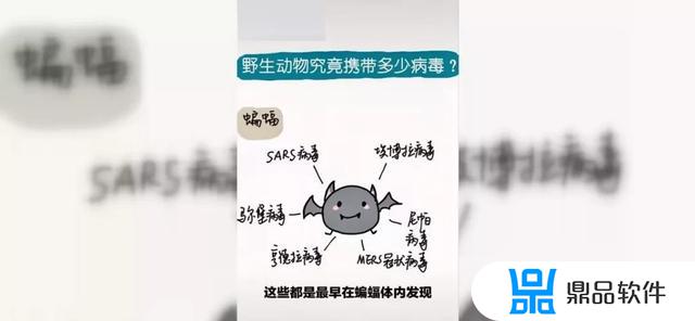 李老师抖音动画怎么样(抖音李老师)