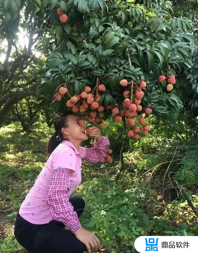 抖音九妹的化妆品怎么样(最近抖音里的九妹)