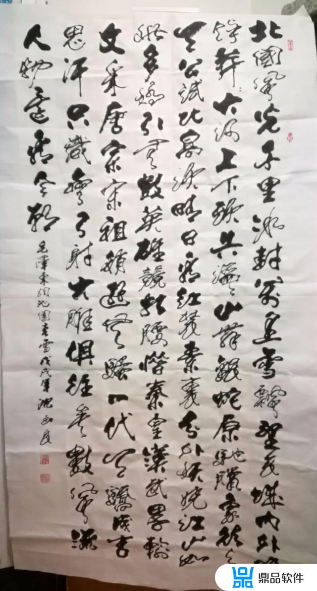 阜阳大画家抖音下载