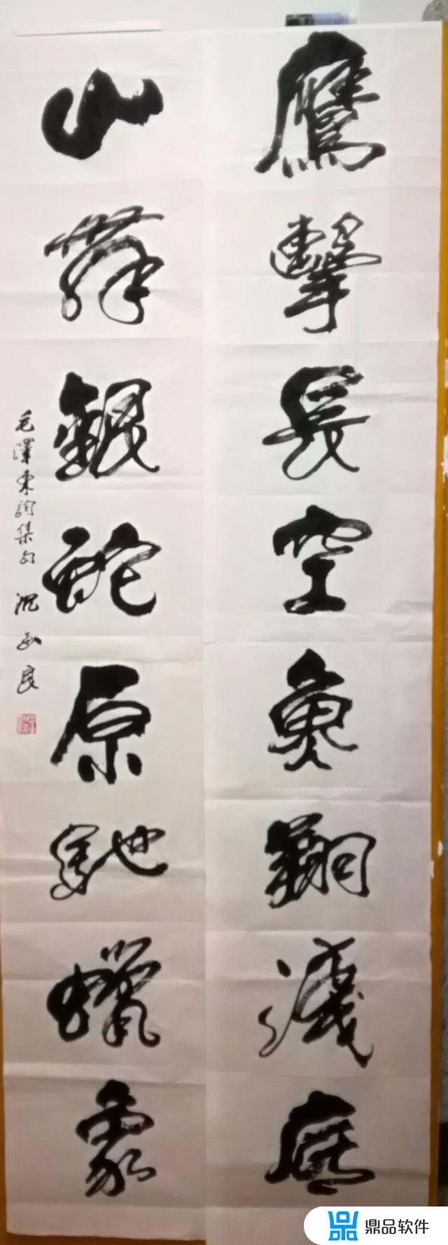 阜阳大画家抖音下载