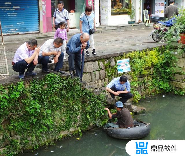 抖音里水草里怎么抓鳝鱼的(抖音上面捉黄鳝的是真是假)