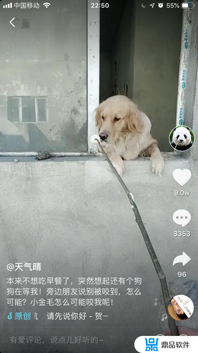 逗猫抖音怎么下载(抖音上的躲猫猫怎么下载)