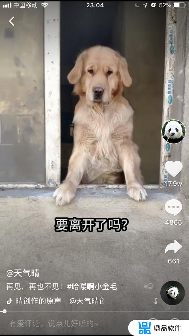 逗猫抖音怎么下载(抖音上的躲猫猫怎么下载)