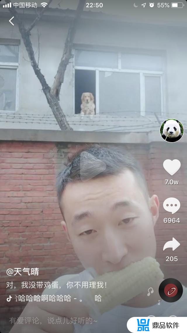 逗猫抖音怎么下载(抖音上的躲猫猫怎么下载)