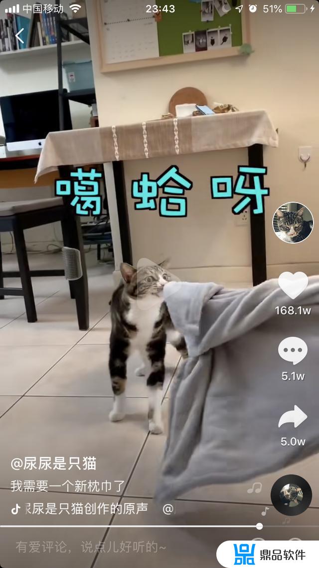 逗猫抖音怎么下载(抖音上的躲猫猫怎么下载)