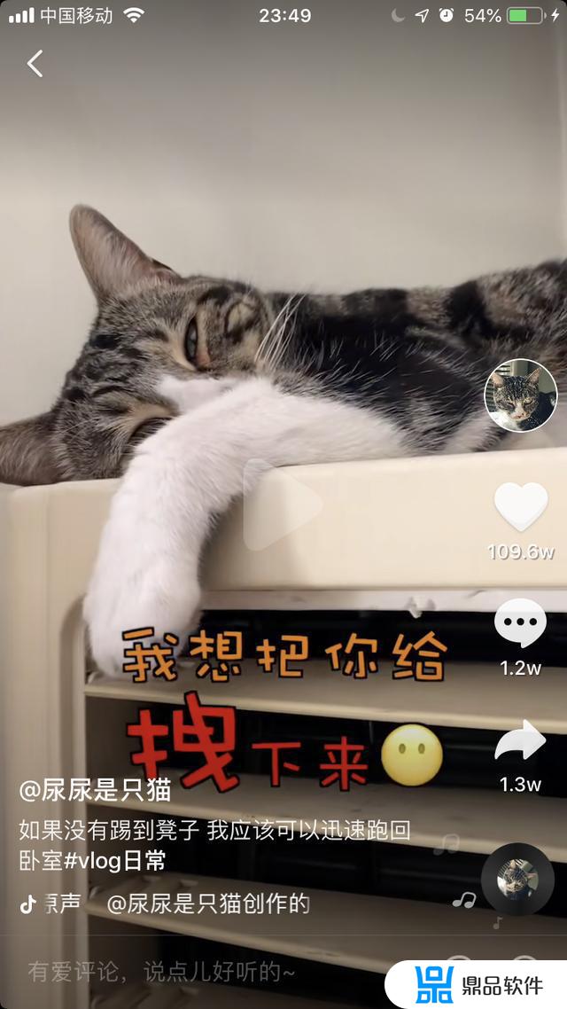 逗猫抖音怎么下载(抖音上的躲猫猫怎么下载)