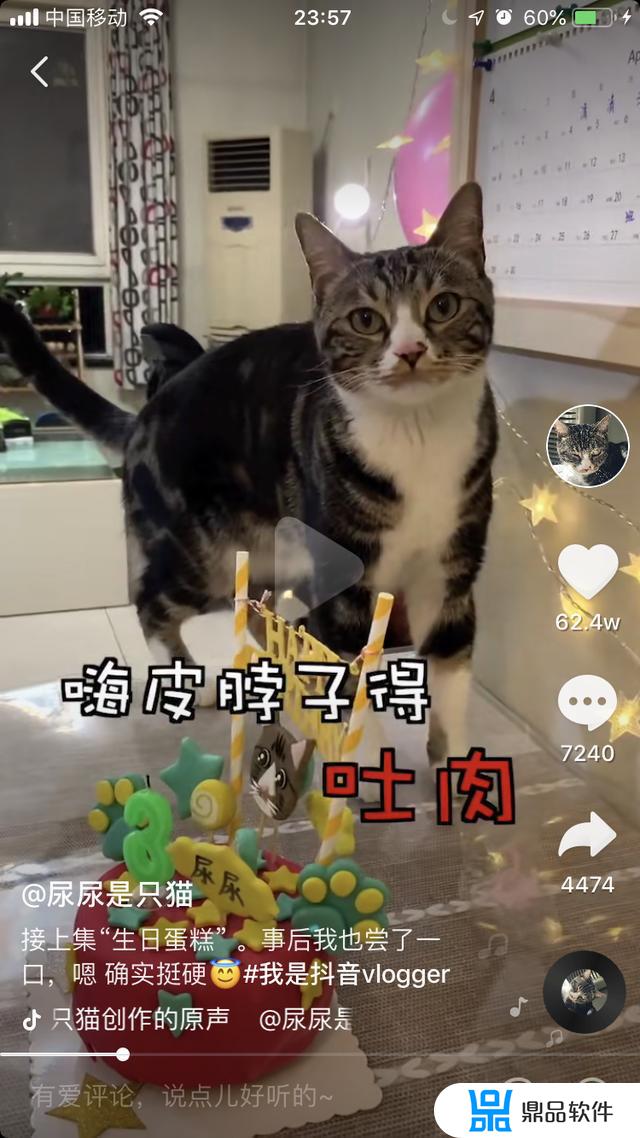 逗猫抖音怎么下载(抖音上的躲猫猫怎么下载)