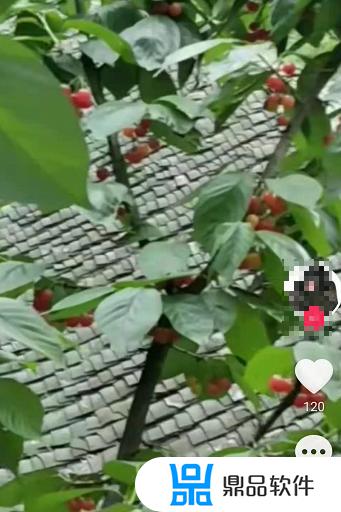 抖音如何注册美食领域(抖音美食账号)