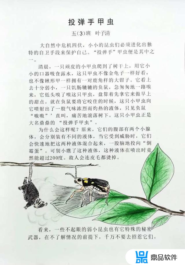 为什么抖音上有人抓毛毛虫(抖音励志毛毛虫是怎么回事)