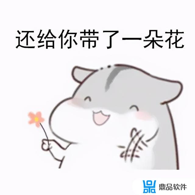 抖音仓鼠表情包(抖音仓鼠表情包动图)