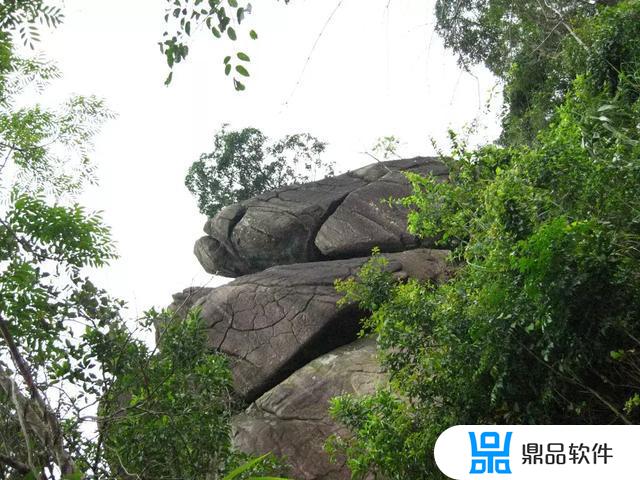 修缘大师在抖音发布了新作