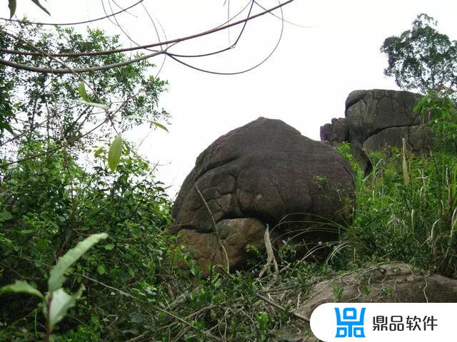 修缘大师在抖音发布了新作