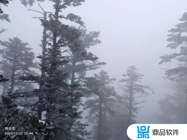 抖音西岭雪山怎么买票(去西岭雪山怎么买票)