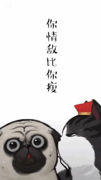 抖音蛋哥猫猫粮(抖音大口吃猫粮的猫)