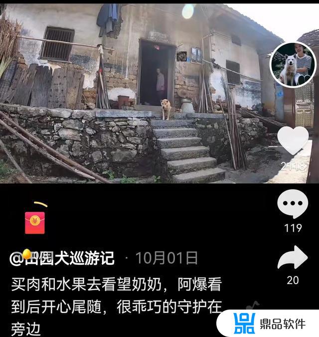 怎么在抖音搜索本地养狗的用户(怎么找抖音用户)