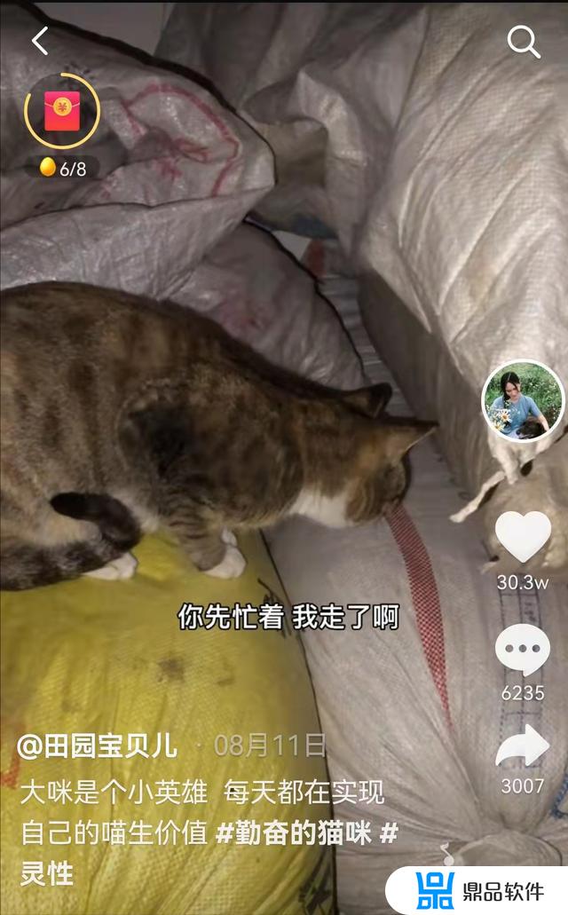 怎么在抖音搜索本地养狗的用户(怎么找抖音用户)