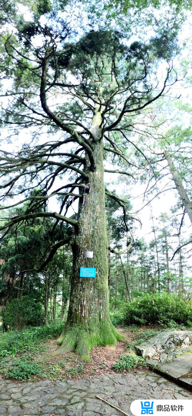 延平区高坪2021年10月份抖音