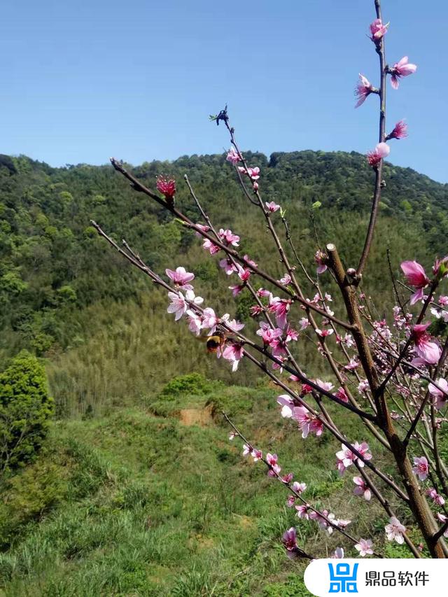 延平区高坪2021年10月份抖音