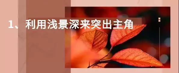 抖音立秋怎么拍(立秋怎么发抖音)