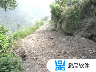 镇雄花朗本地抖音(镇雄抖音网红)