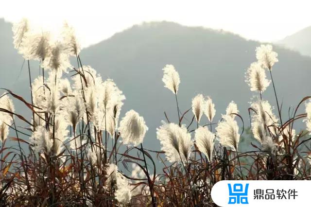 抖音山谷拍照教程(抖音山水美景视频怎么拍)