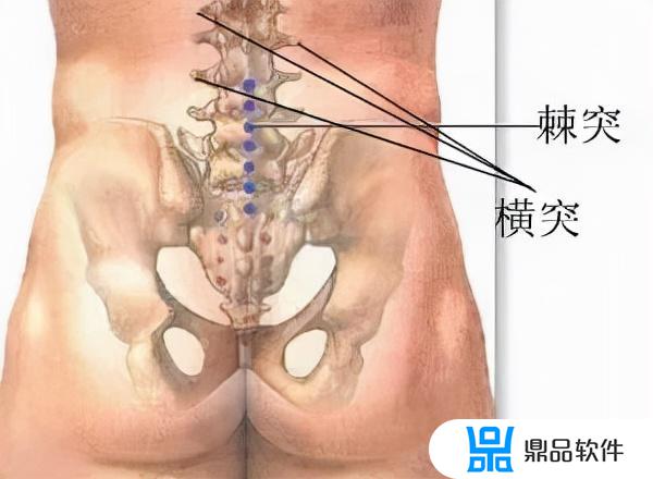 抖音最火减肥操外国(抖音上减肥操三个国外女孩)