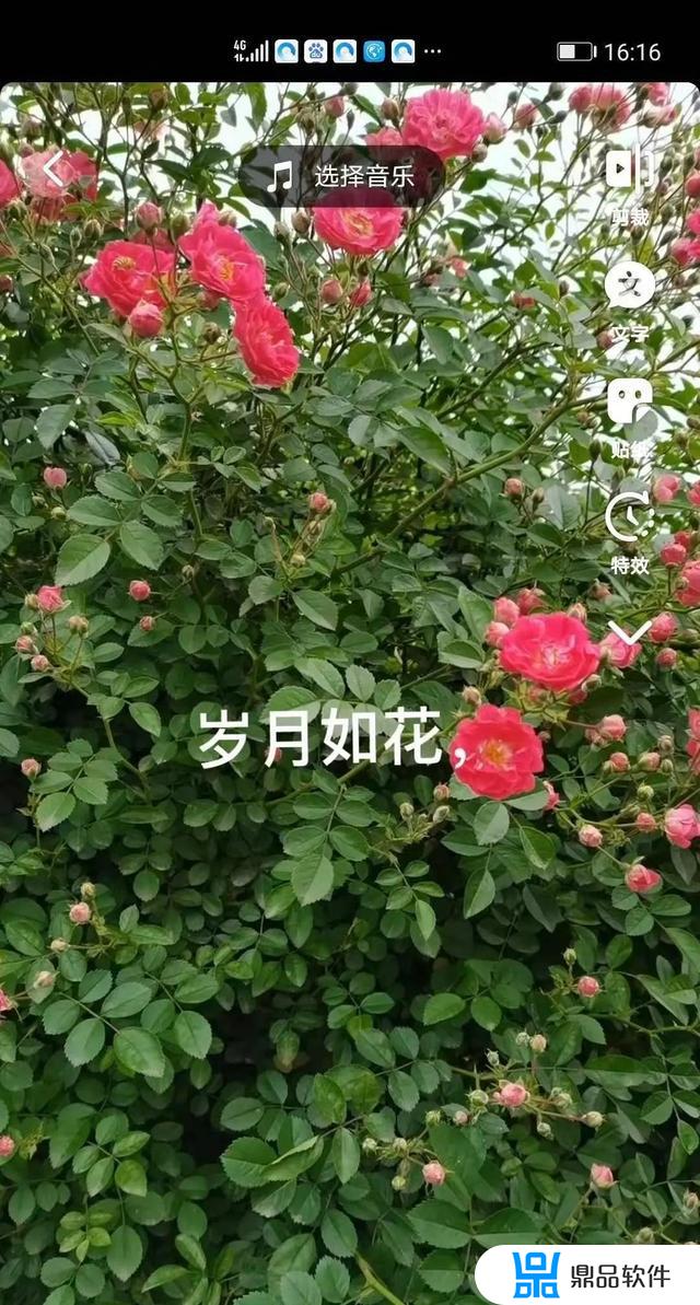 抖音上面写字怎么没有字(抖音里面我写的字怎么看不见)