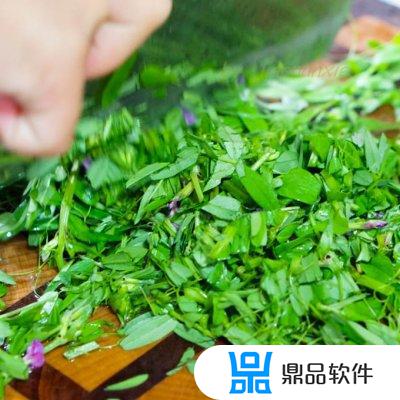 抖音上的野菜饼怎么做(抖音上的饼是怎么做的)