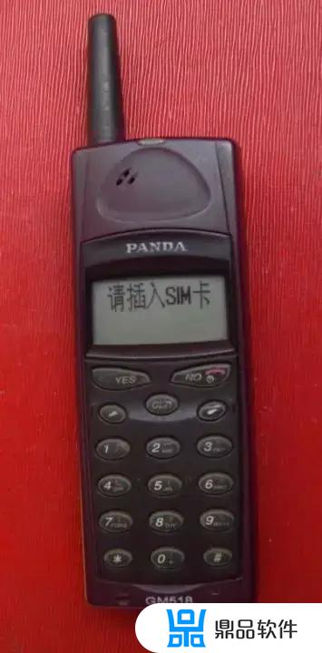 1995年东莞熊猫电子抖音(熊猫抖音)