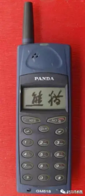 1995年东莞熊猫电子抖音(熊猫抖音)