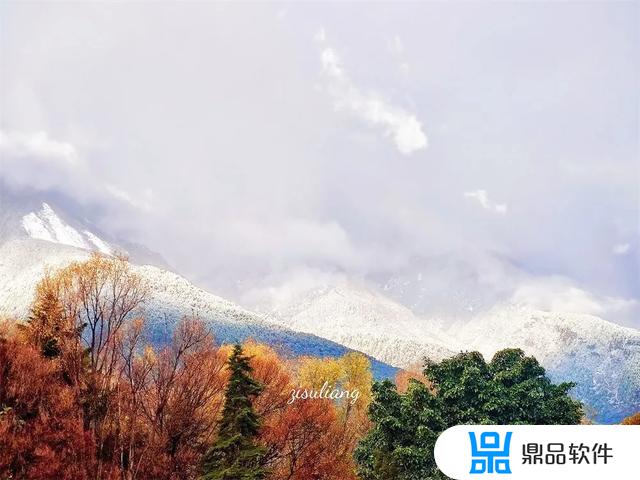 抖音下雪的动图(抖音下雪的图片)