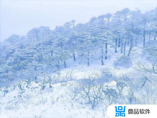 抖音下雪的动图(抖音下雪的图片)