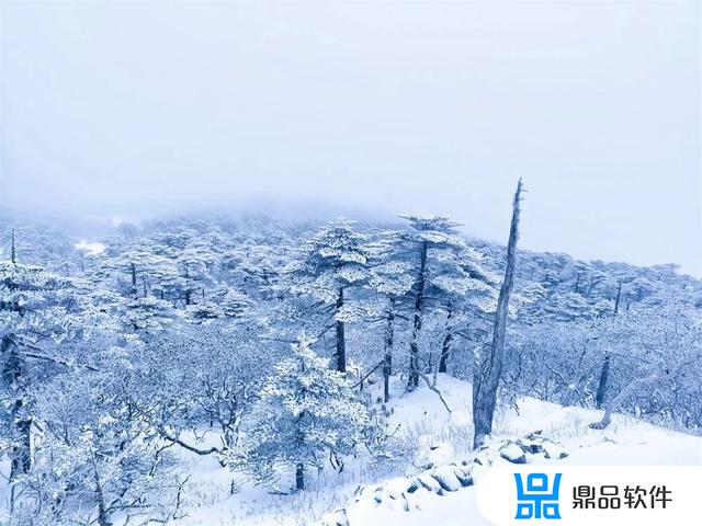 抖音下雪的动图(抖音下雪的图片)