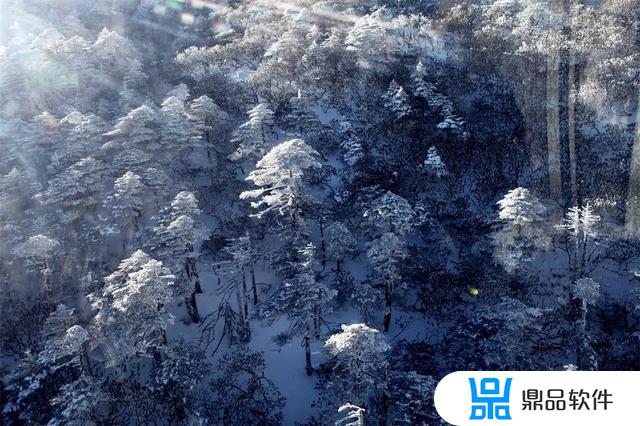 抖音下雪的动图(抖音下雪的图片)