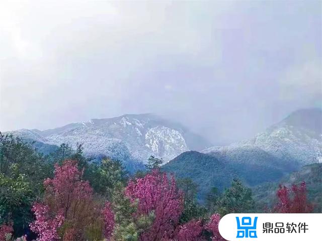 抖音下雪的动图(抖音下雪的图片)